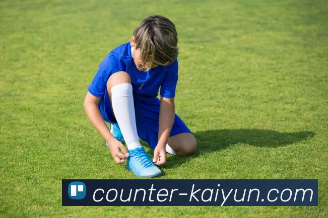 开云官网APP 封面图